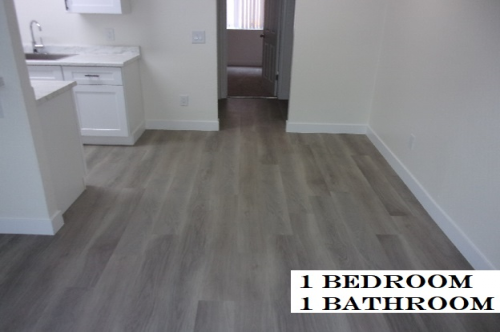 Take a tour today and view 1 bed 1 bath empty 6 for yourself at the Casa Del Sol Apartments